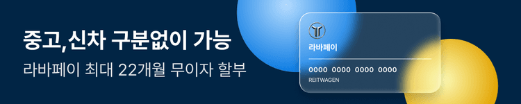 라바페이 최대 22개월 무이자 할부